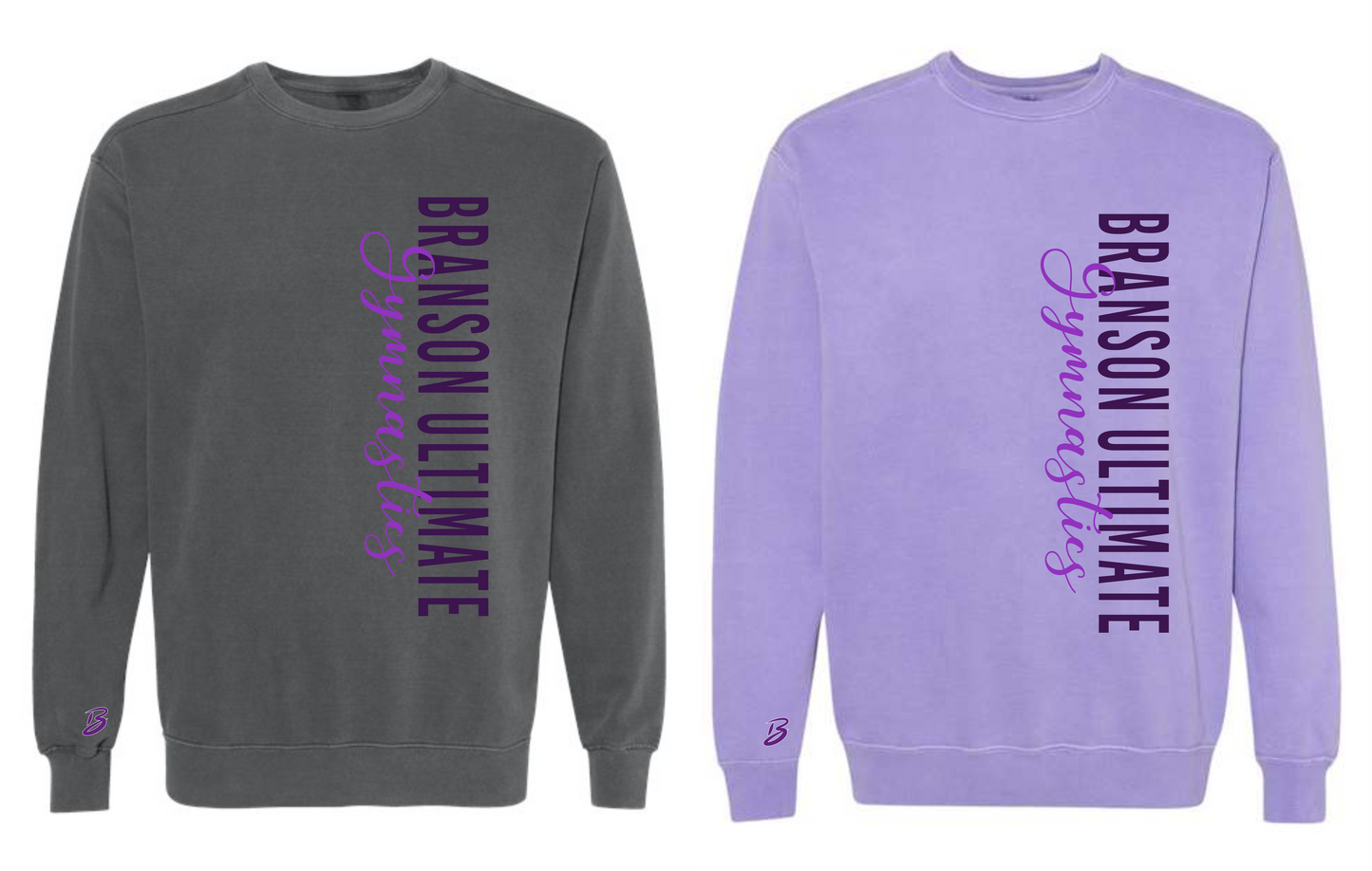 Comfort Colors Vertical Bug Sweatshirt