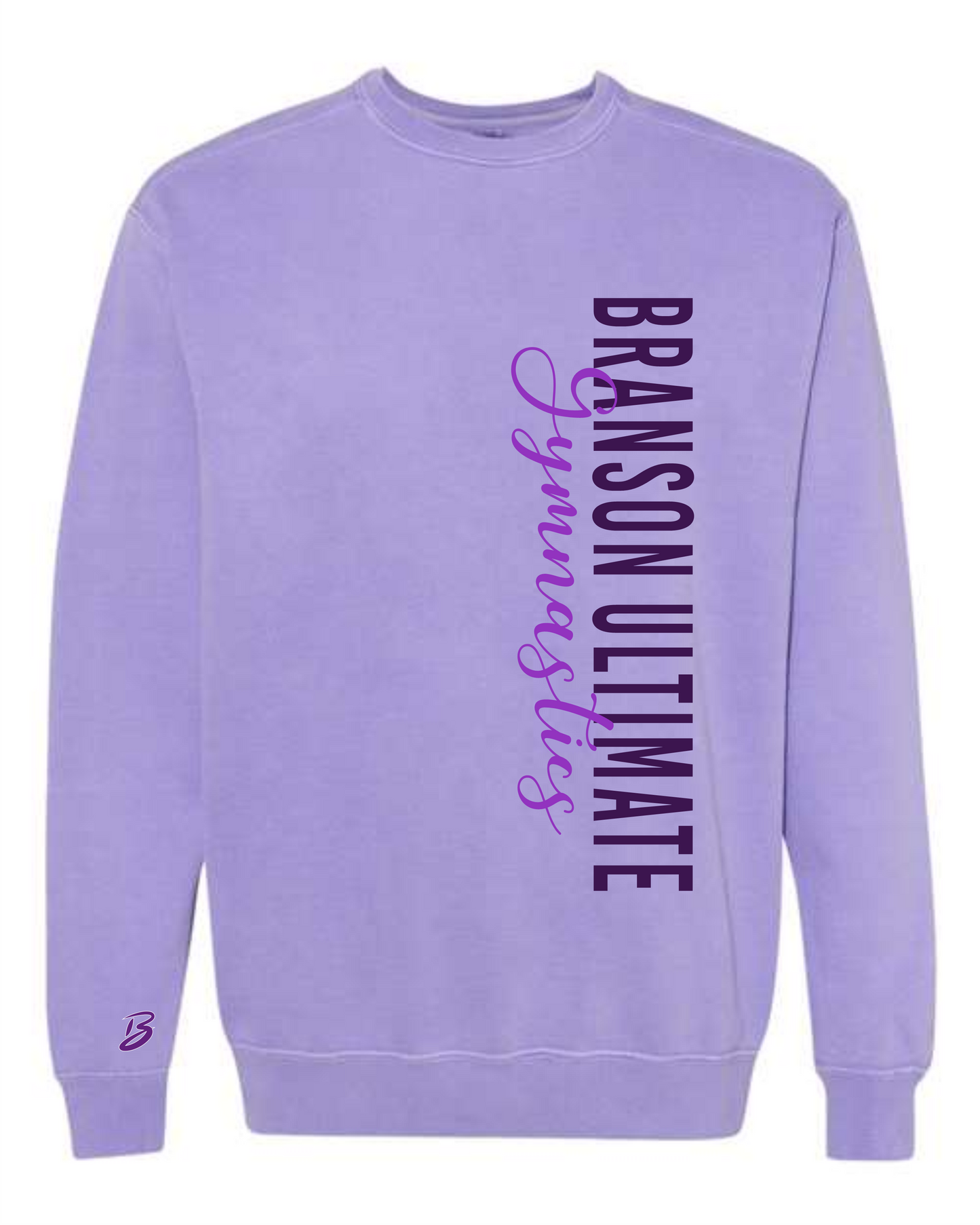 Comfort Colors Vertical Bug Sweatshirt