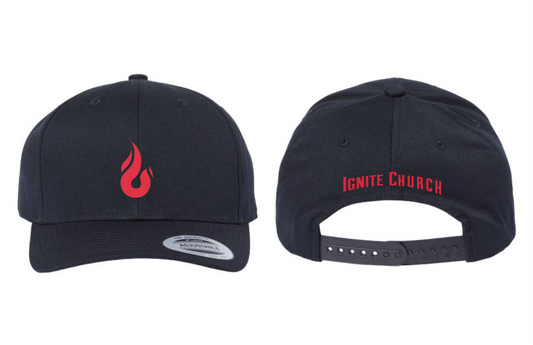 Icon Logo Structured Solid Snapback Cap