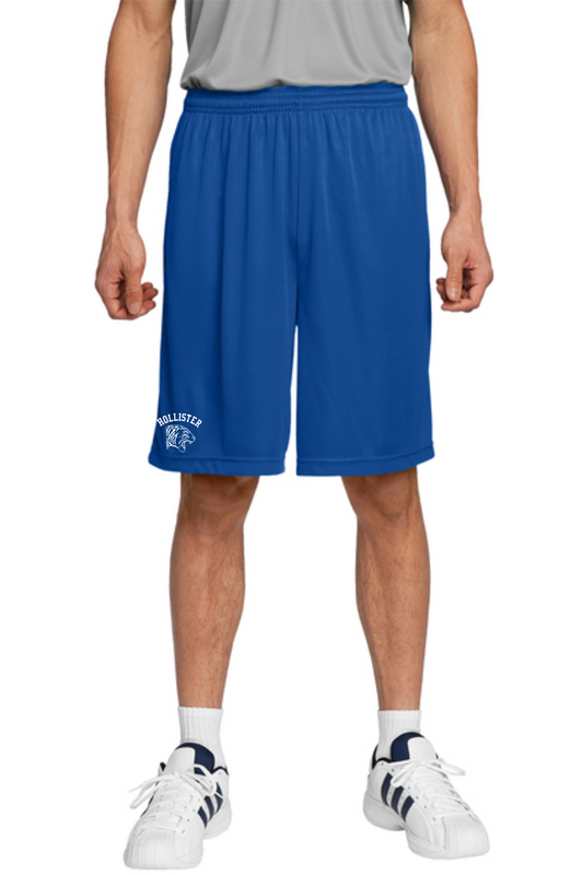 Hollister Men's Shorts 15